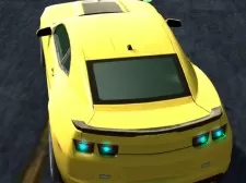 Simulator RAC